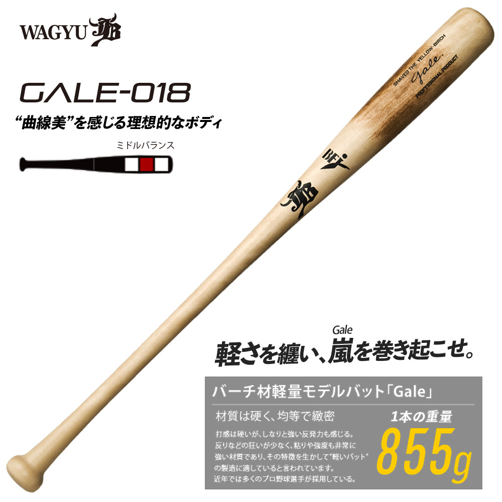 バーチ材硬式木製バット「Gale」/中学・高校・大学社会人対応/BFJマーク入り