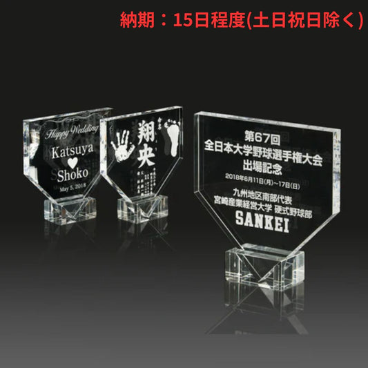 Acrylic base shield