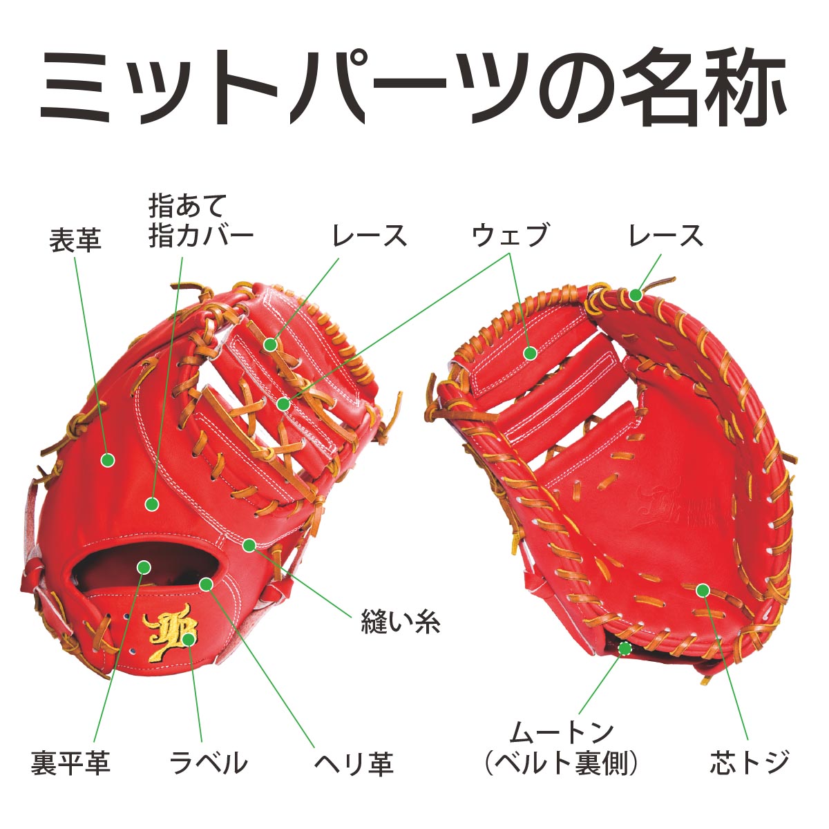 【オーダー】【一塁手】硬式高校野球ルール対応 和牛JBオーダーミット JB-003 - ボールパークドットコム